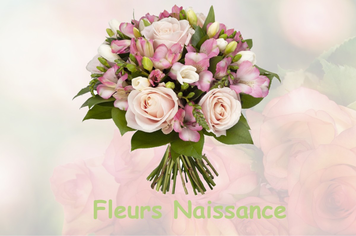 fleurs naissance MOUSSEAUX-LES-BRAY