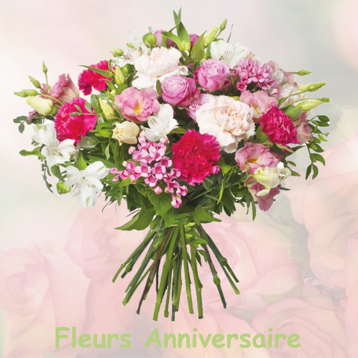 fleurs anniversaire MOUSSEAUX-LES-BRAY